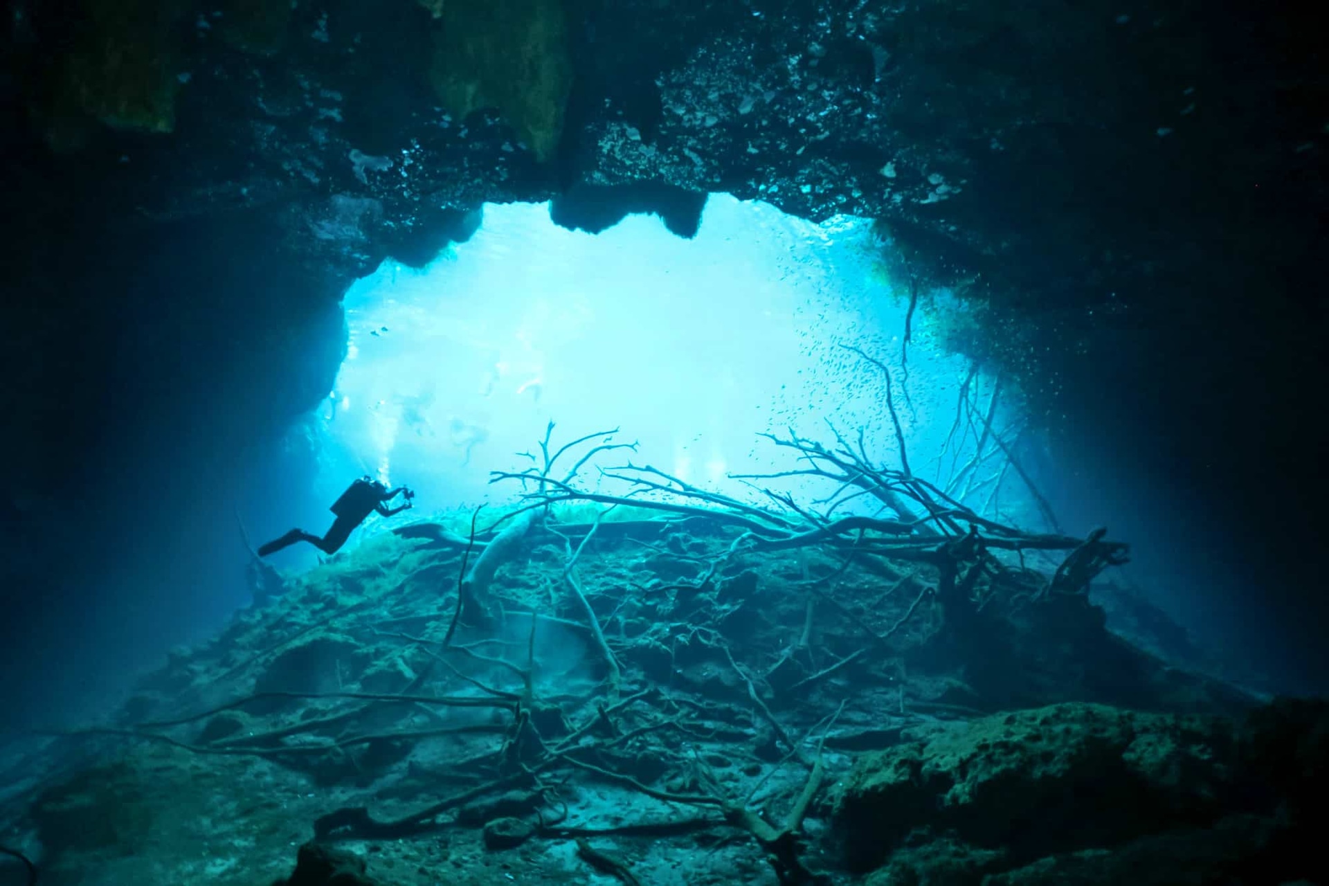 Dive Center Mexiko: Sicherheit, Spaß und spektakuläre Tauchplätze