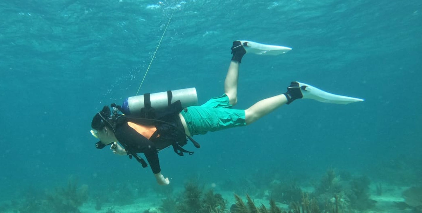Dive Center Mexiko: Sicherheit, Spaß und spektakuläre Tauchplätze