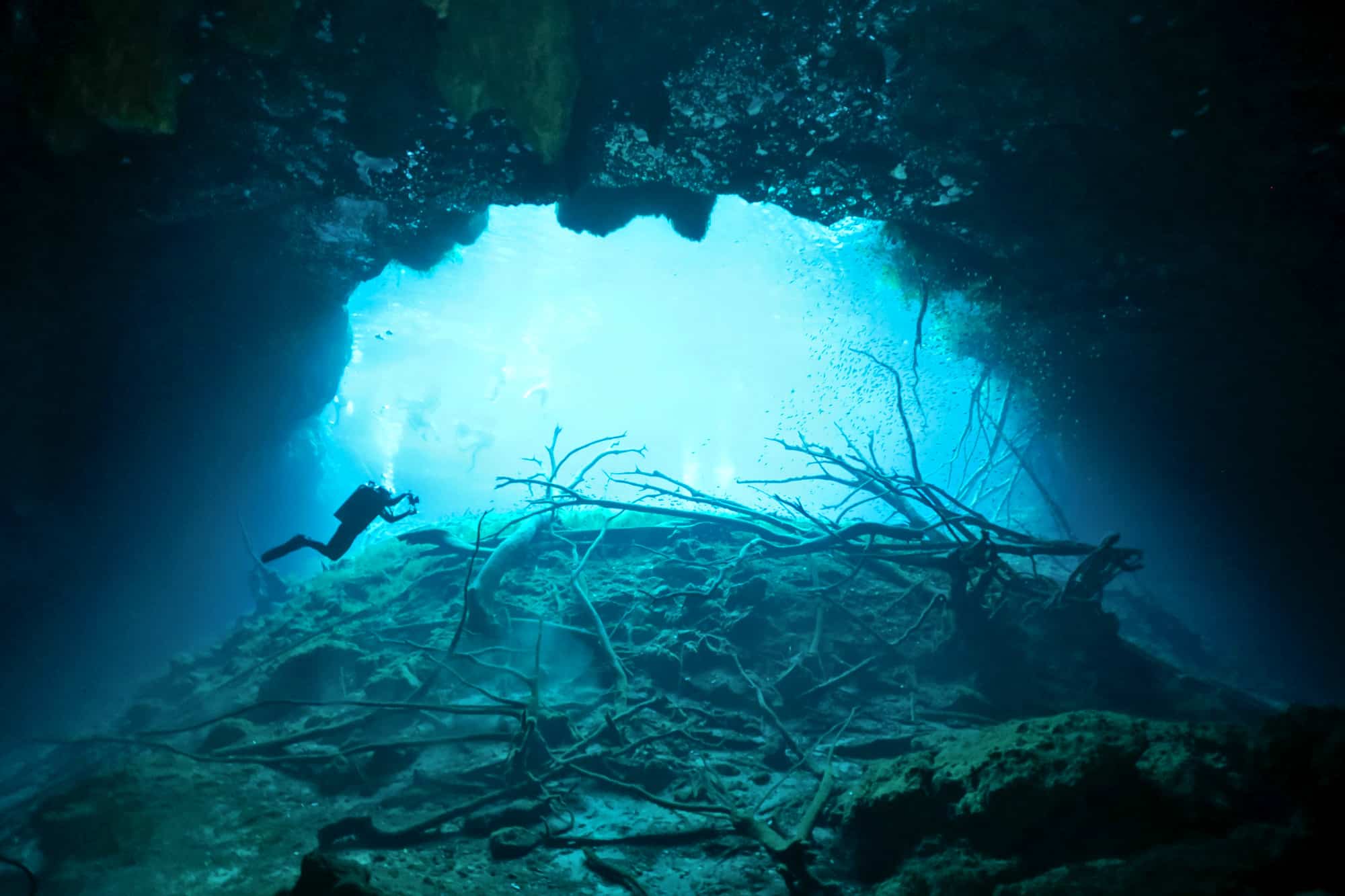 Dive Center Mexiko: Sicherheit, Spaß und spektakuläre Tauchplätze